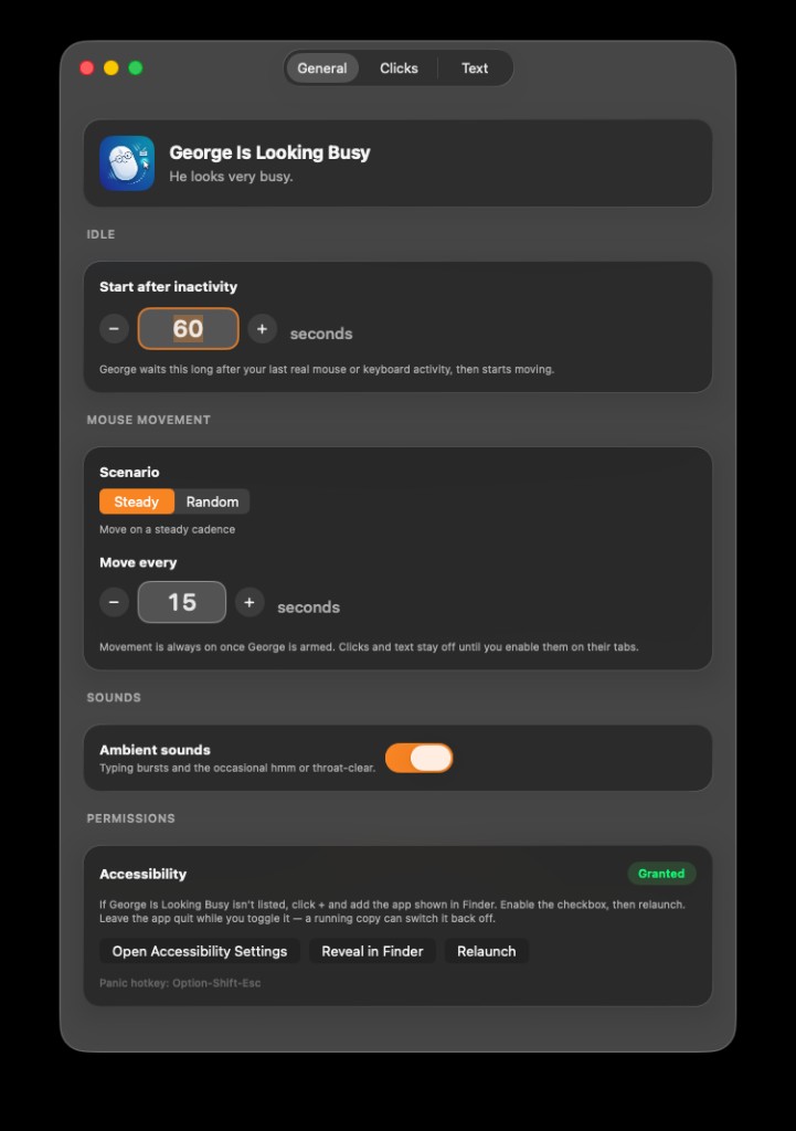 General settings: idle timeout, mouse movement, ambient sounds, and Accessibility permission